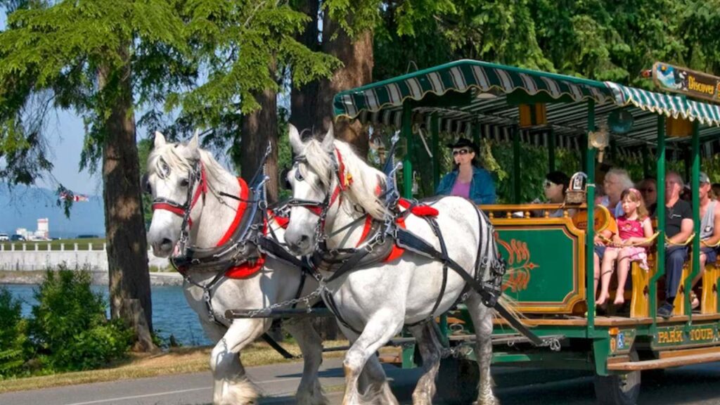 Stanley Park, horse ride Canada