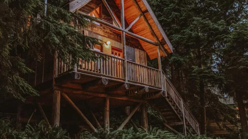 Treehouse hotel