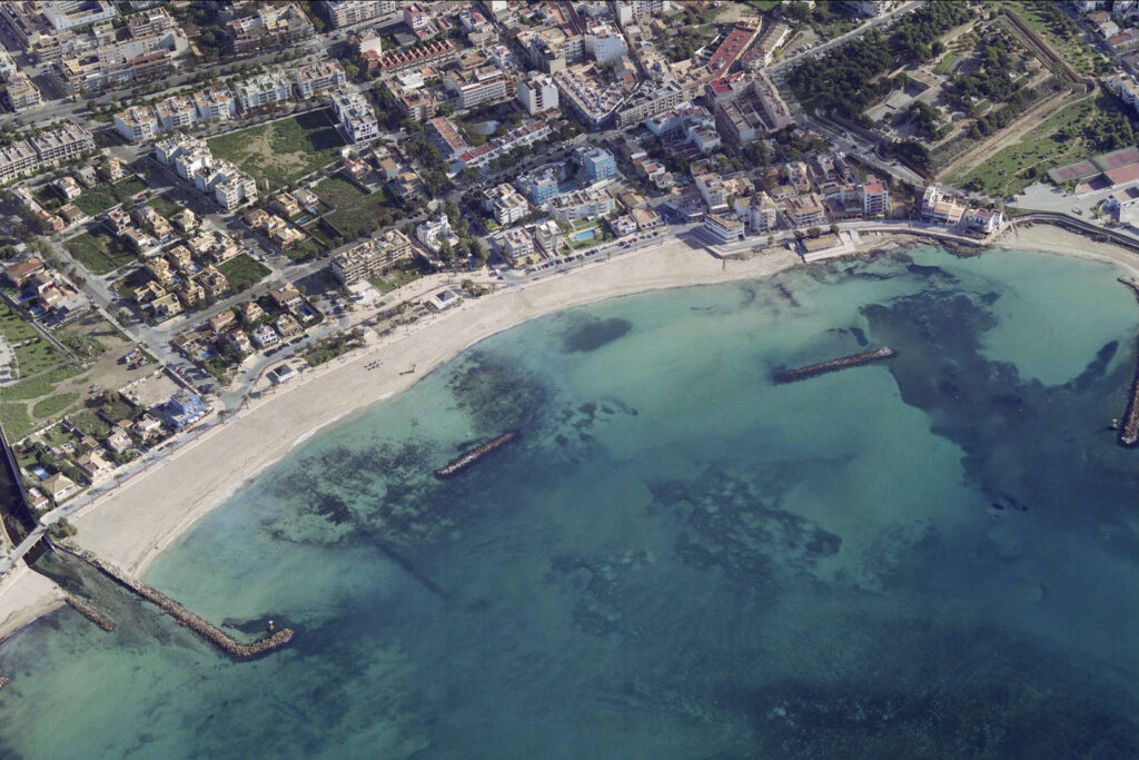 Palm de Mallorca